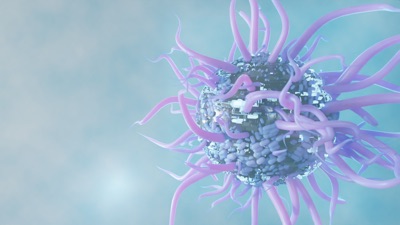 Cell n.2