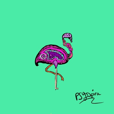 PSYbird#1🦩1/1