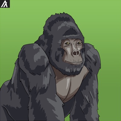 Algorilla 0