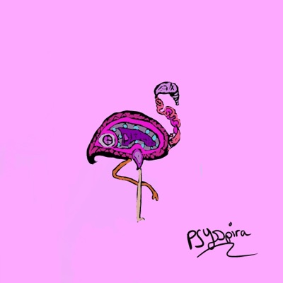 PSYbird#5🦩1/1